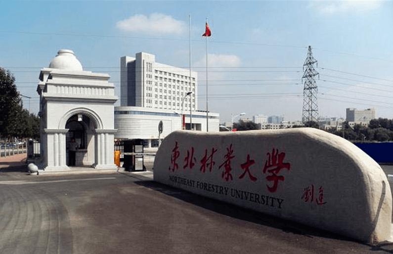 和嘉丨簽單遠程指導(dǎo)東北林業(yè)大學(xué)智慧校園機房動環(huán)監(jiān)控項目